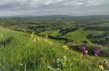 The Burren and Cliffs of Moher Full Day Private Tour from Galway