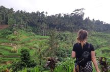 Bali All Inclusive Tour, Ubud Rice Terrace, Temple and Volcano