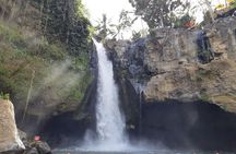 Bali All Inclusive Tour, Ubud Rice Terrace, Temple and Volcano