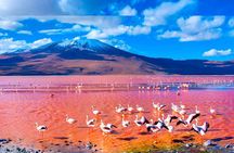 Uyuni Salt Flats - 3 Days / 2 Nights - English Speaking Guide