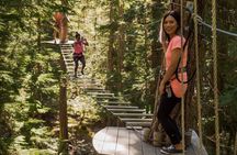 Aerial Obstacle Course - Full Course