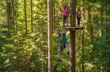 Aerial Obstacle Course - Full Course