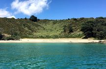 Private Freedom Best of Waiheke Island