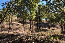 Epic MTB ride at Guadalajara forest. 