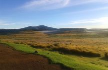 Visit Horton Plains National Park.