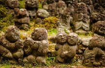 Arashiyama Bamboo Forest E-Biking Tour