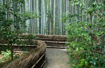 Arashiyama Bamboo Forest E-Biking Tour