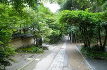 Arashiyama Bamboo Forest E-Biking Tour