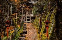 Arashiyama Bamboo Forest E-Biking Tour