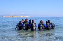 Try Scuba Diving, Beginners' Experience