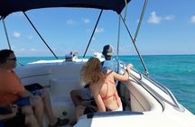 A Unique Private Snorkel Tour of Key Largo 