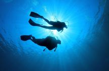 Discover Scuba Diving in Tenerife