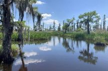 Small-Group Airboat Swamp Tour with Downtown New Orleans Pickup