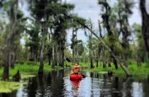 Small-Group Manchac Swamp Kayak Tour