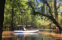 Small-Group Manchac Swamp Kayak Tour