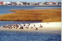 Take a Scenic Boat Ride in St. Augustine
