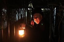 Ghosts of Winter Park - A Chilling Walking Tour!