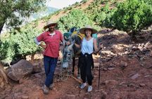 Marrakech: 2-Day High Atlas Mountains and Three Valleys Trek