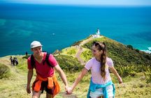Cape Reinga - 90 Mile Beach Tour - With Lunch
