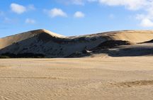 Cape Reinga - 90 Mile Beach Tour - With Lunch