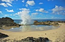 Death in Paradise Tour | Driver at Disposal