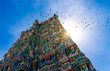 Deep South of India - Kerala and Tamil Nadul