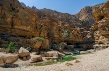 Discover the South & Wadi Shab