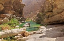Discover the South & Wadi Shab