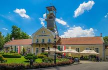 Guided Tour of the Wieliczka Salt Mine and Transfer from Krakow