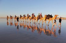 Camel Ride in Agadir