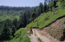 Full-Day Private Biking Trip to Shimla Mountain with Lunch