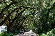 Historic Electric Cart Tour of St. Augustine