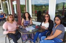 North Georgia Mountains Two Vineyard Wine Tasting Tour