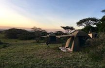 3days Tarangire,Ngorongoro Crater and lake Manyara 
