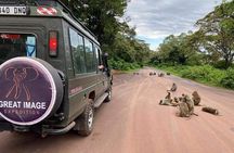 3days Serengeti National park and Ngorongoro Crater Tanzania Safari 