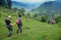 Marangu waterfalls day trip 