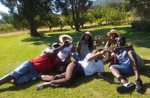Shared Tour To The Wineries Stellenbosch Paarl + Cheese Tasting from Cape Town 