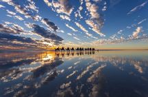 1 Hour Broome Sunset Camel Tour 