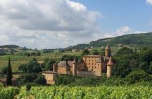 Beaujolais Wine Discovery - Private Tour - Half Day