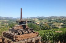 Beaujolais Wine Discovery - Private Tour - Half Day