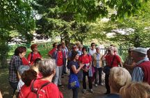 Private Guided Fairy Tale Tour in Ogulin