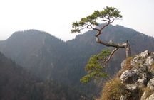 From Krakow: Dunajec Pontoon Rafting Trip