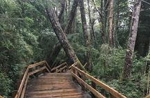 Bariloche: Puerto Blest, Cantaros Waterfall and Frias Lake