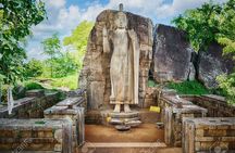 Sri Lanka Most Popular - 12 Days.