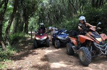 Tour 1 hour QUAD Safari