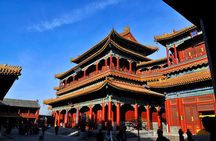 All-inclusive Private Day Trip: Hutongs, Lama Temple & Panda House with Lunch