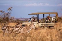 4-Days Safari From Dar es Salaam; Selous/Nyerere & Mikumi N. Park
