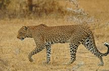 4-Days Safari From Dar es Salaam; Selous/Nyerere & Mikumi N. Park
