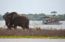 4-Days Safari From Dar es Salaam; Selous/Nyerere & Mikumi N. Park