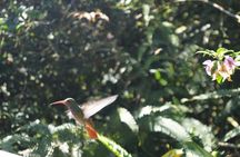 Mindo Cloud Forest PRIVATE Day Trip